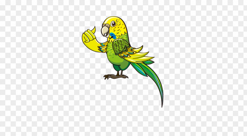 Parrot Macaw Character Animation PNG