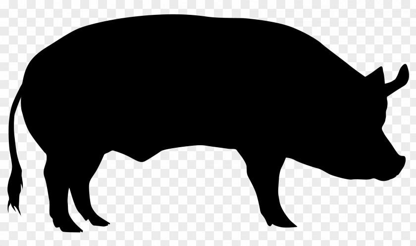 Pig Domestic Cattle Sheep Silhouette PNG