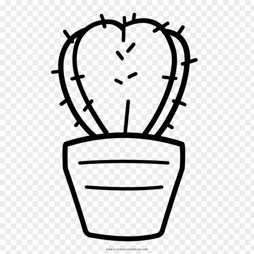 Plant Drawing Cactaceae Coloring Book Clip Art PNG