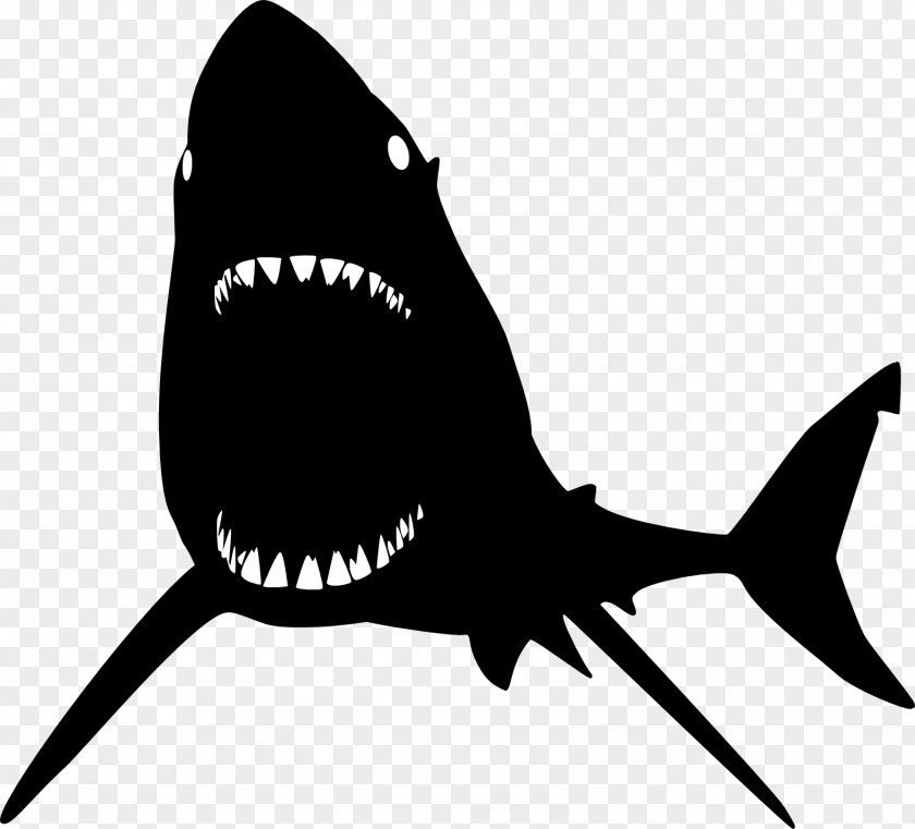 Sharks Blue Shark Mouth PNG