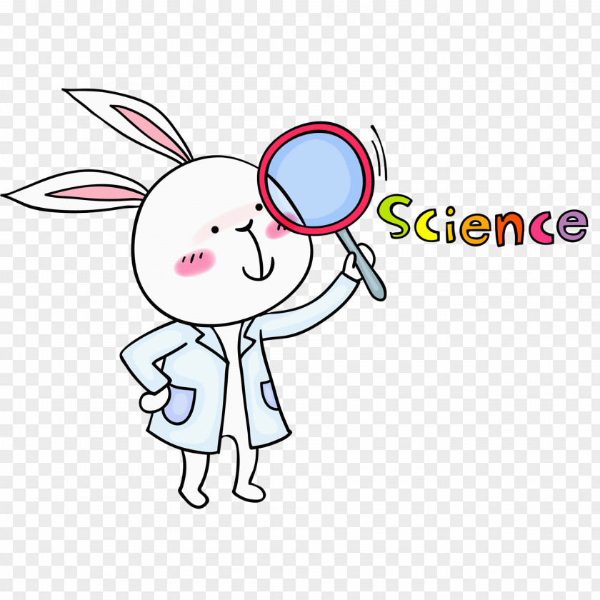 White Rabbit Easter Bunny Animal Illustration PNG