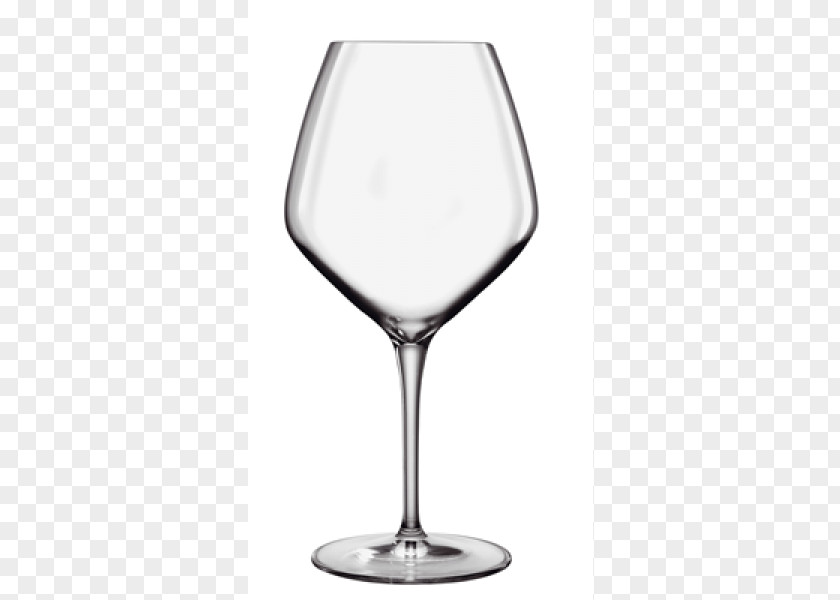 Wine Glass Pinot Noir White Champagne PNG