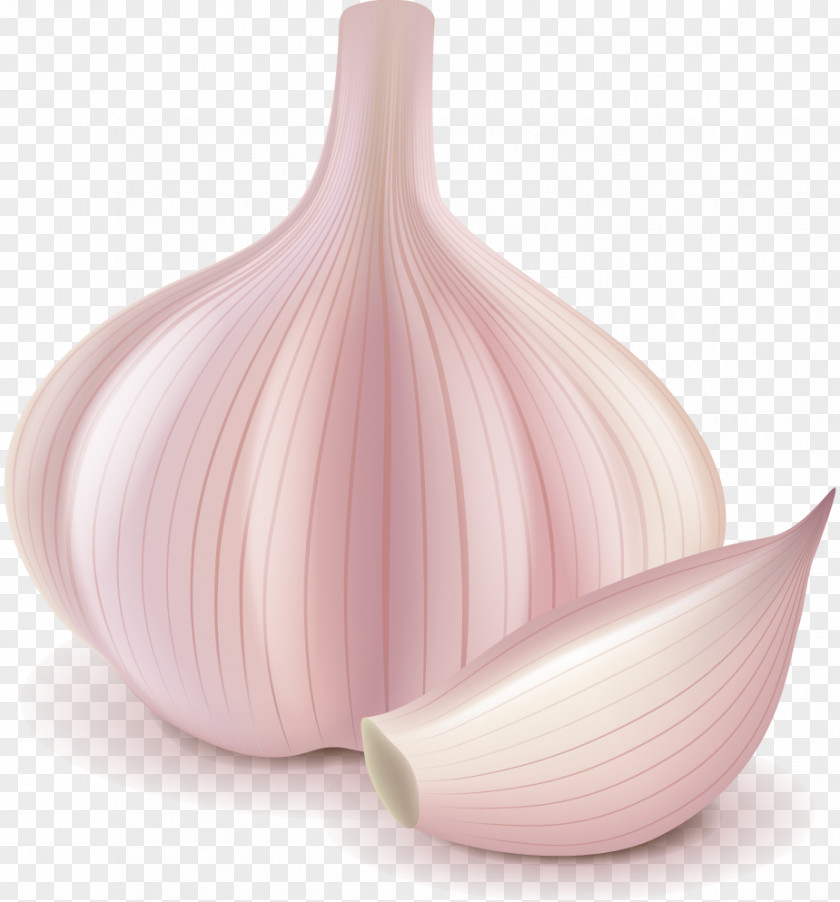Garlic Ingredient Food Shallot PNG