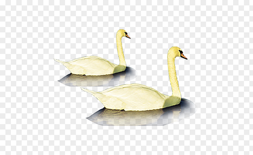 Goose Duck Ganso Poster PNG