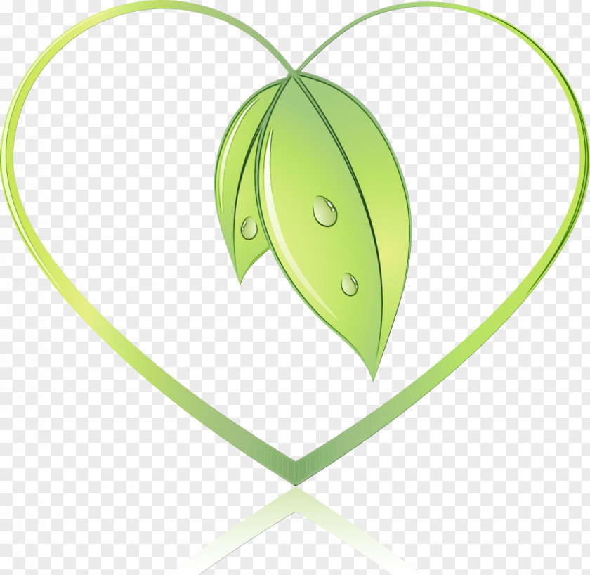 Plant Stem Flower Green Leaf Background PNG