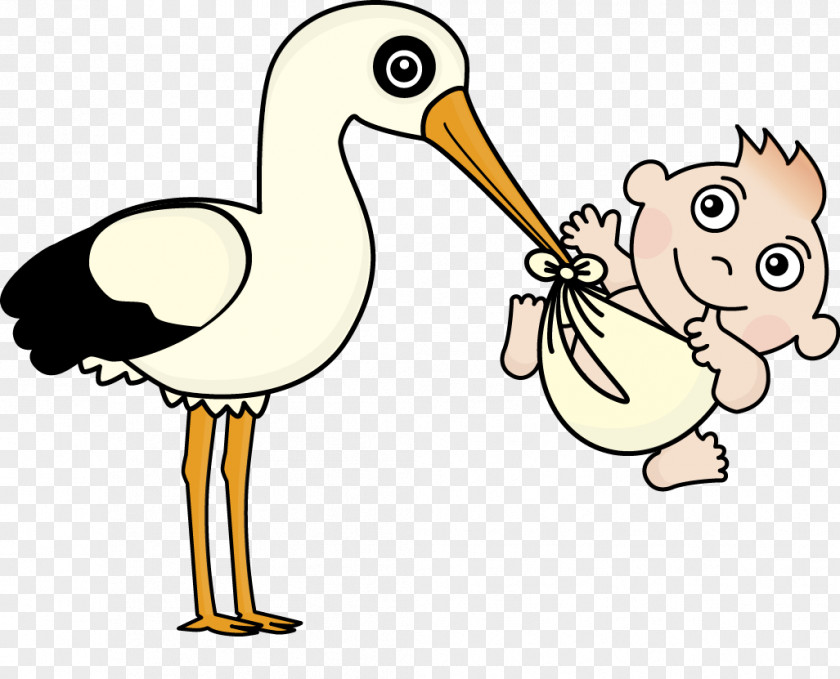 Red-crowned Crane Dangling Baby Vector Infant Childbirth Diaper Pixabay PNG