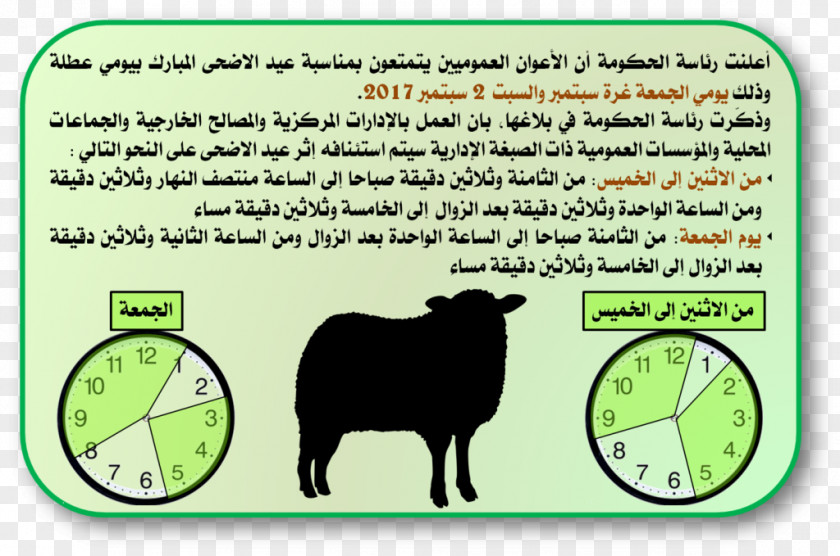 Sheep Cattle Fauna Mammal Cartoon PNG