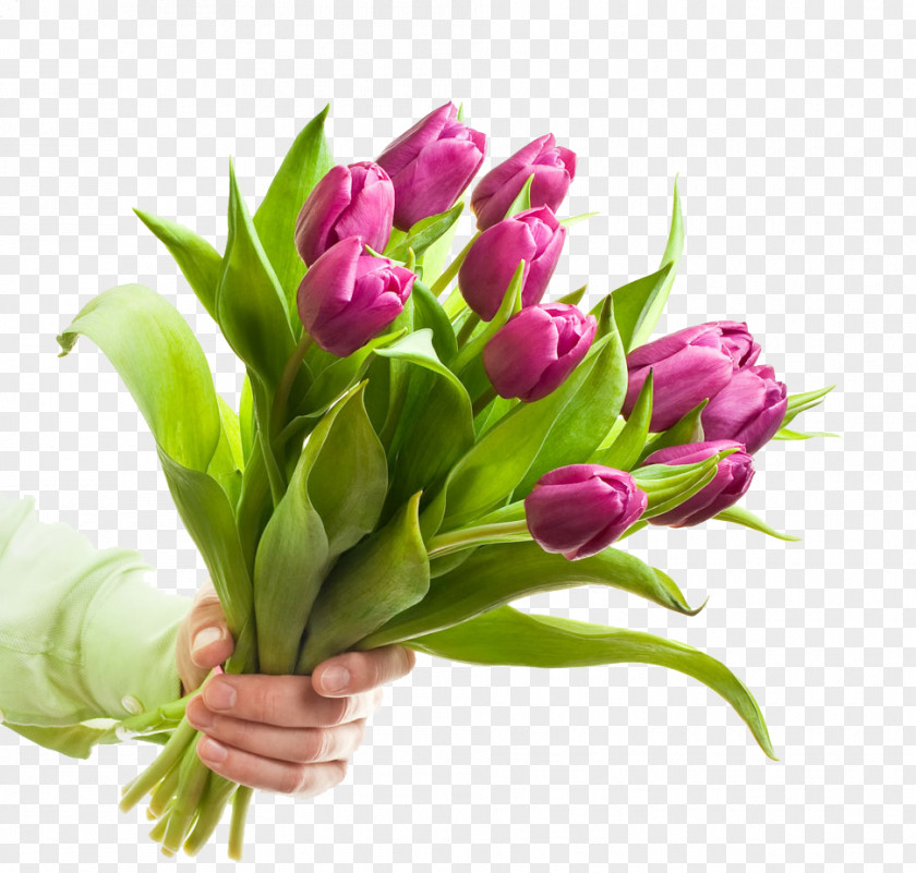 Bouquet Of Purple Tulips Flower Clip Art PNG