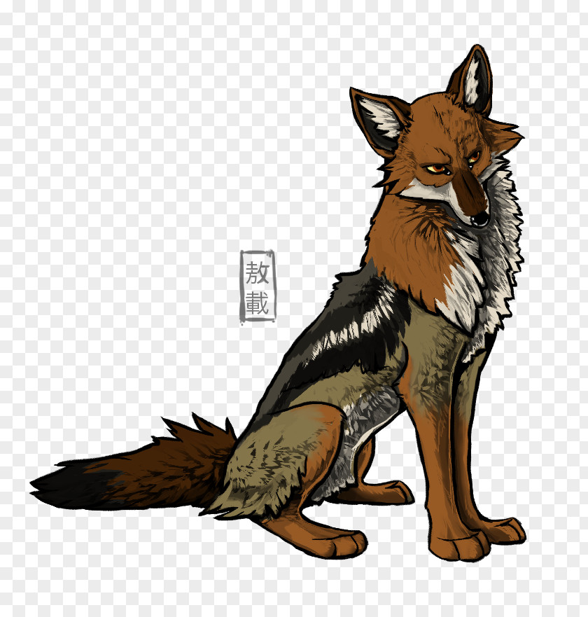 Jackal Red Fox Dog Canidae Mammal Carnivora PNG