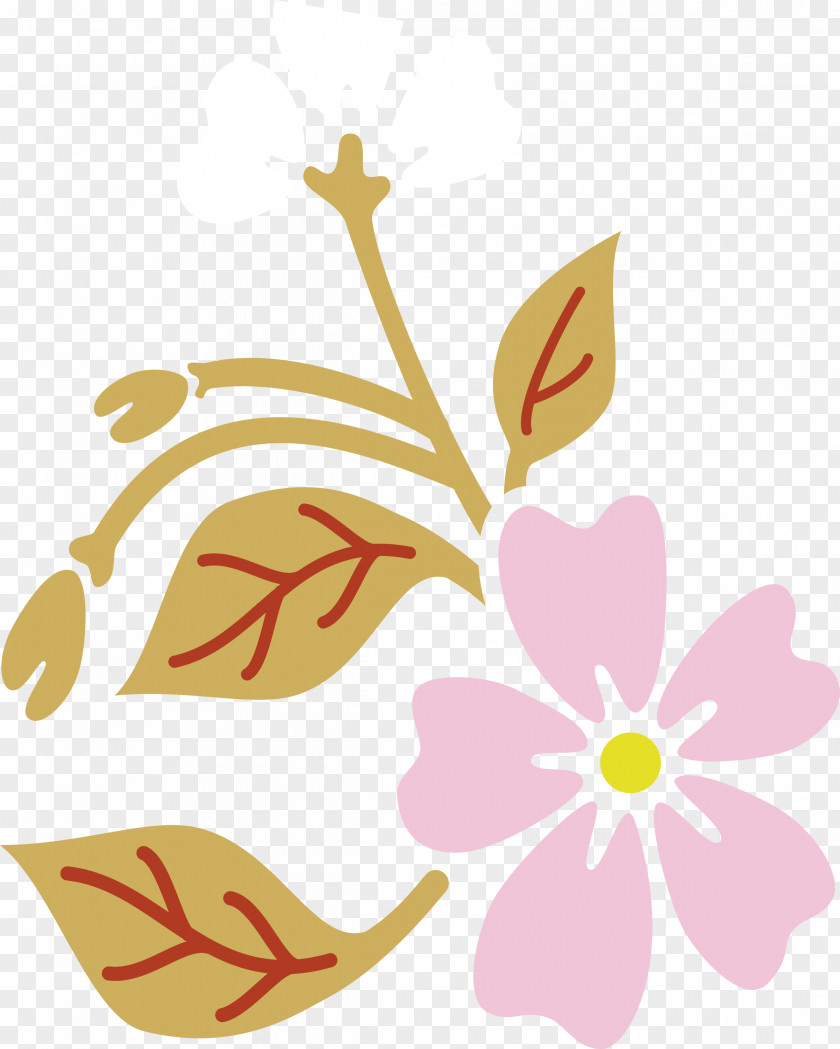 Petal Flower Plant Pedicel Herbaceous PNG