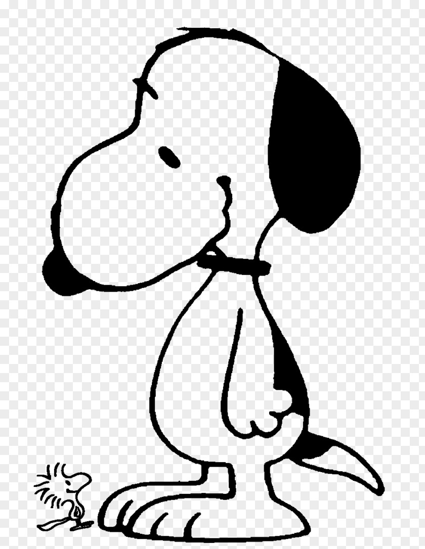 Snoopy Woodstock Charlie Brown Peanuts Fan Art PNG