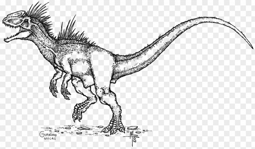 Dino Google Velociraptor Tyrannosaurus Guanlong Line Art Sketch PNG