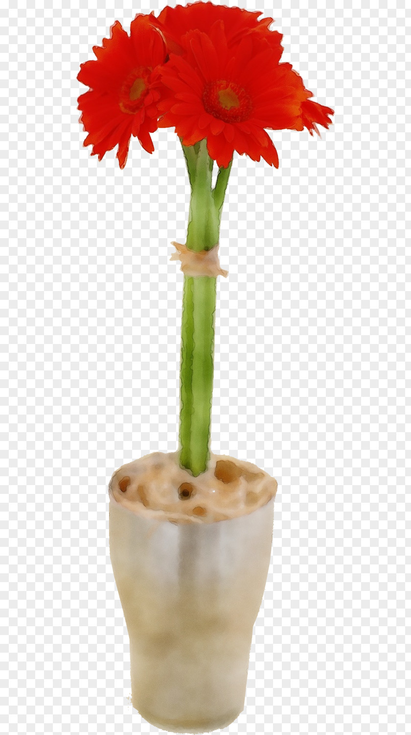 Flower Plant Stem Flowerpot Plants Science PNG