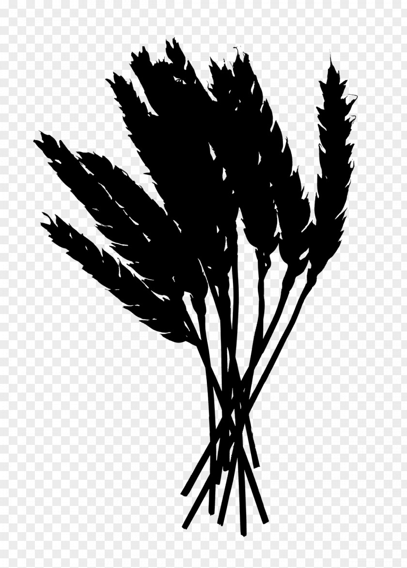 M Plant Stem Leaf Twig Palm Trees Black & White PNG