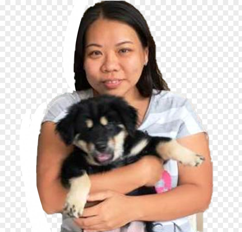 Puppy Dog Breed Companion Severe Pain PNG