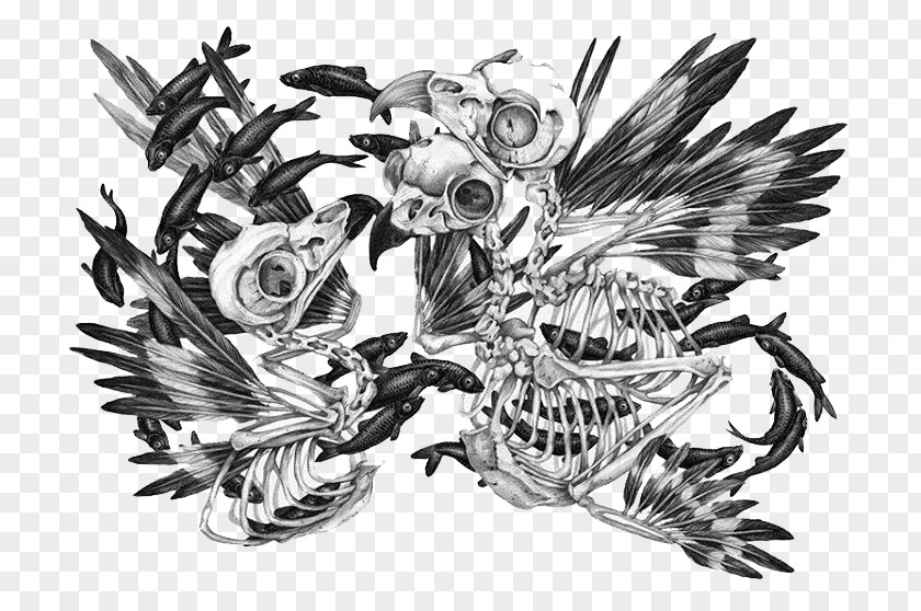 Skull Visual Arts Drawing Illustrator Illustration PNG