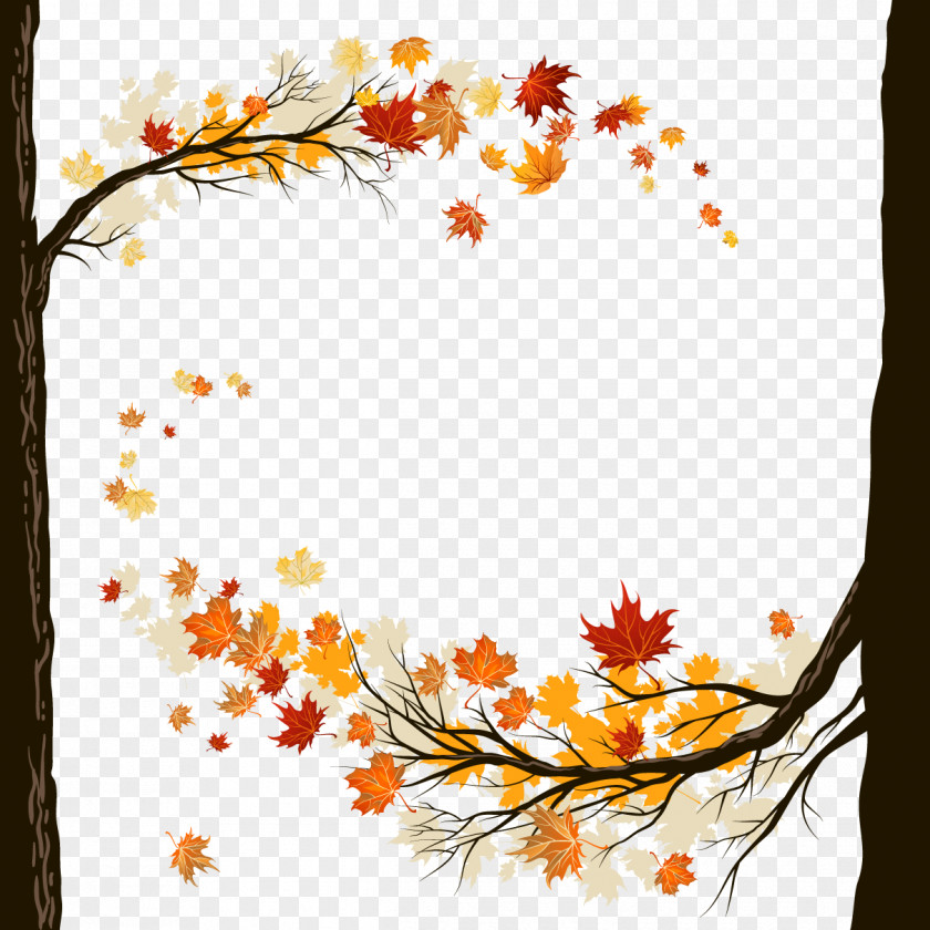 Akiba Vector Material Autumn Leaf Color Clip Art PNG