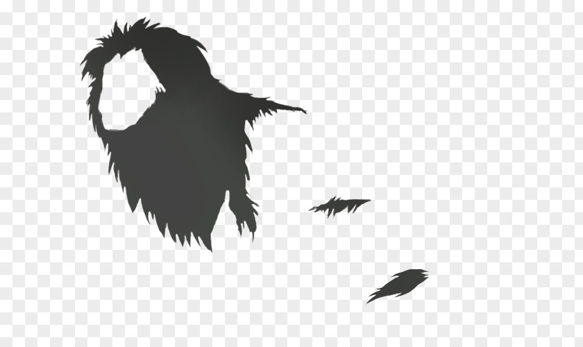 Silhouette Beak Black Feather PNG