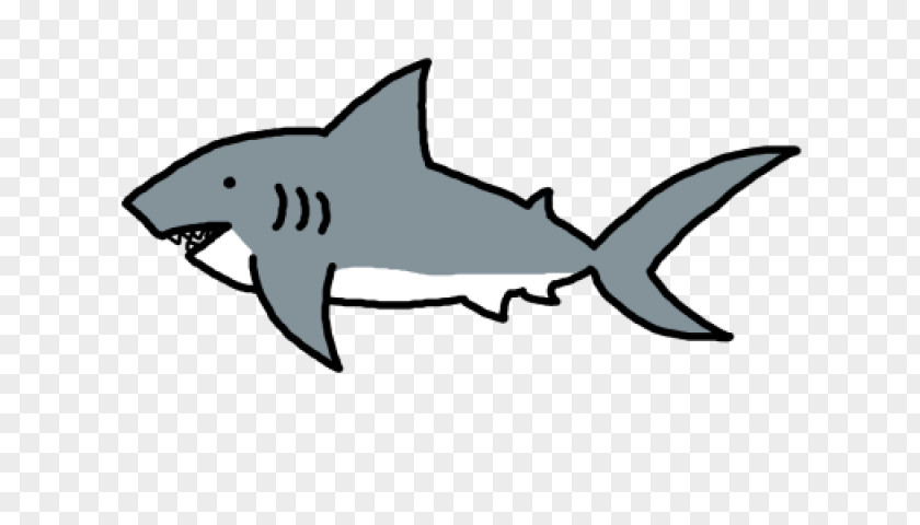Australian Barracuda Clip Art Great White Shark Vector Graphics Shortfin Mako PNG