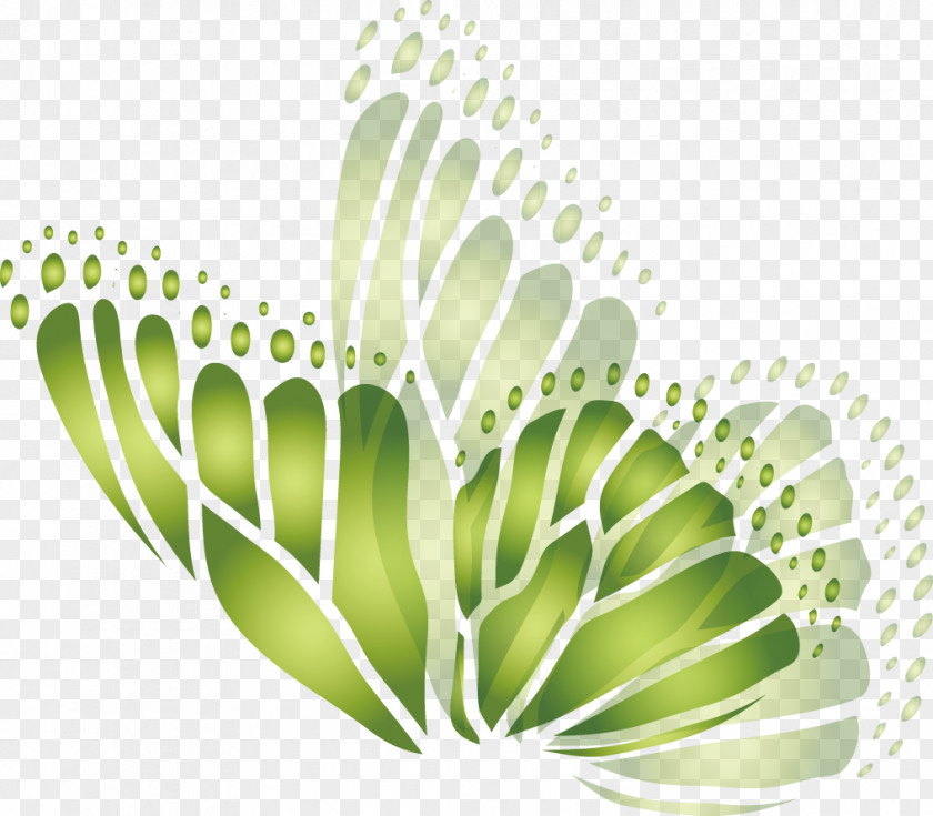 Butterfly Green Stock Illustration Royalty-free Clip Art PNG