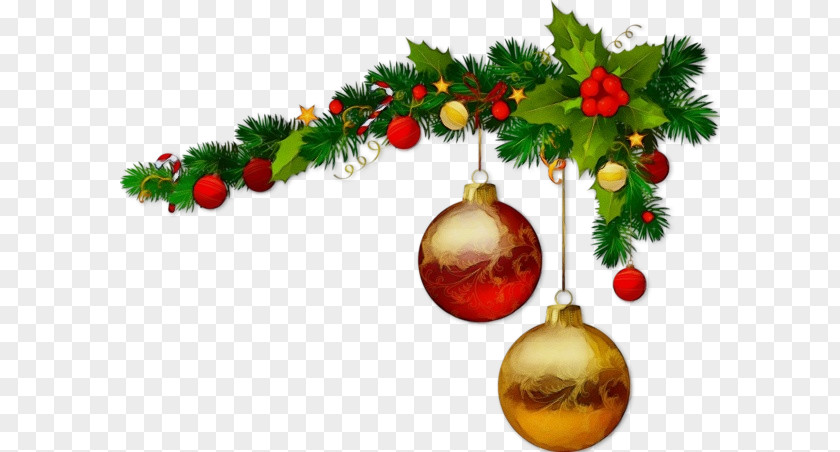 Christmas Eve Branch Decoration PNG