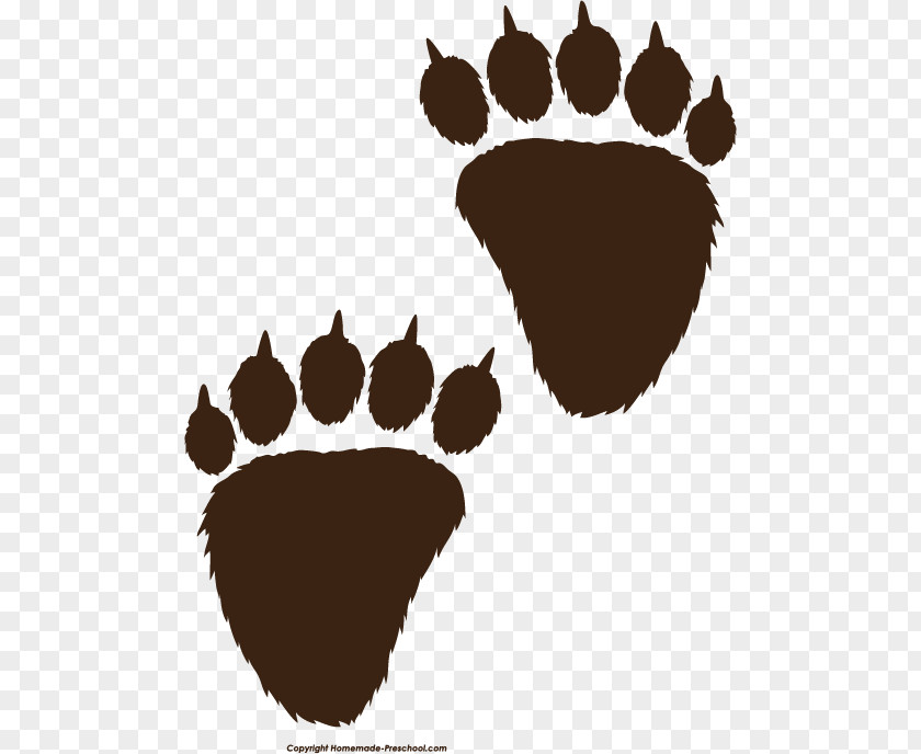 Claw American Black Bear Polar Paw Clip Art PNG