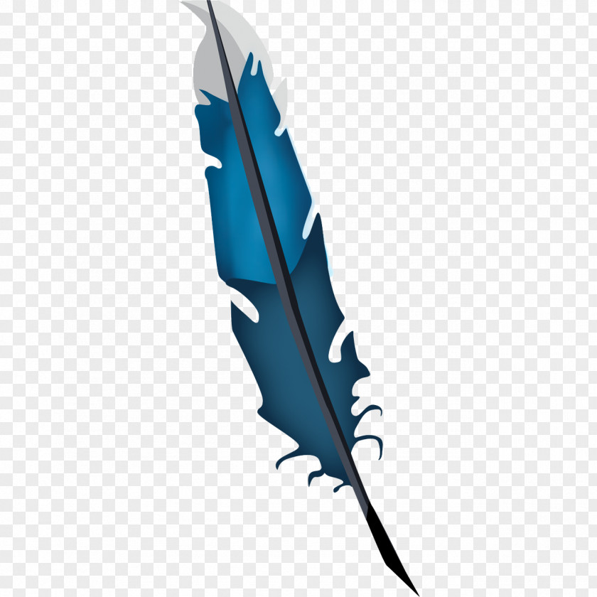 Feather Turquoise PNG