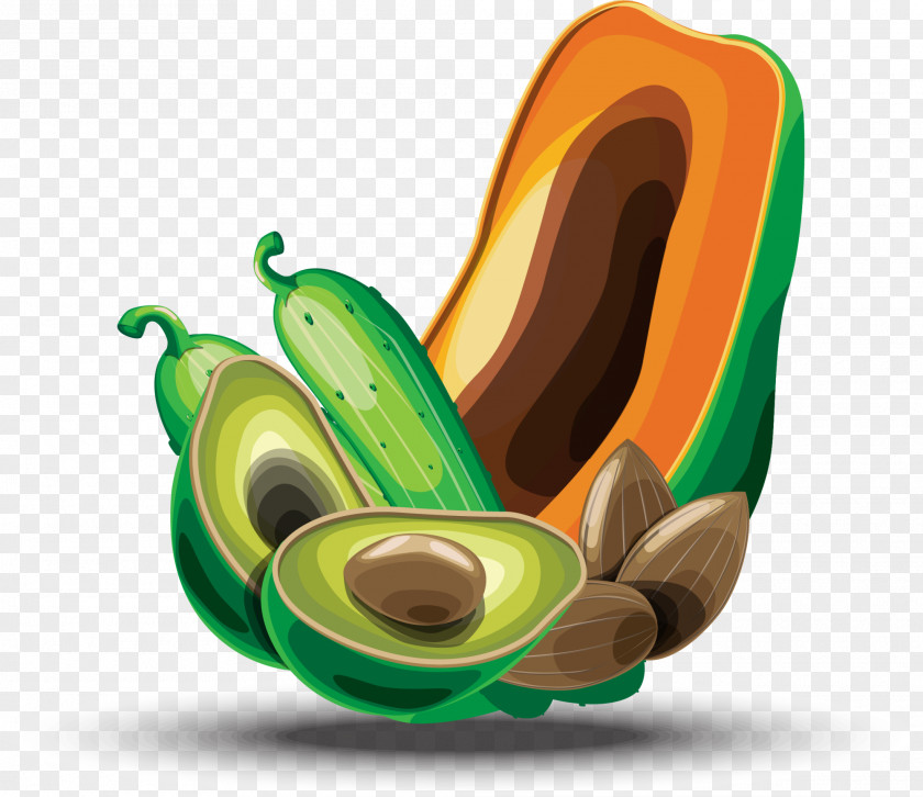 Green Avocado Food Fruit PNG