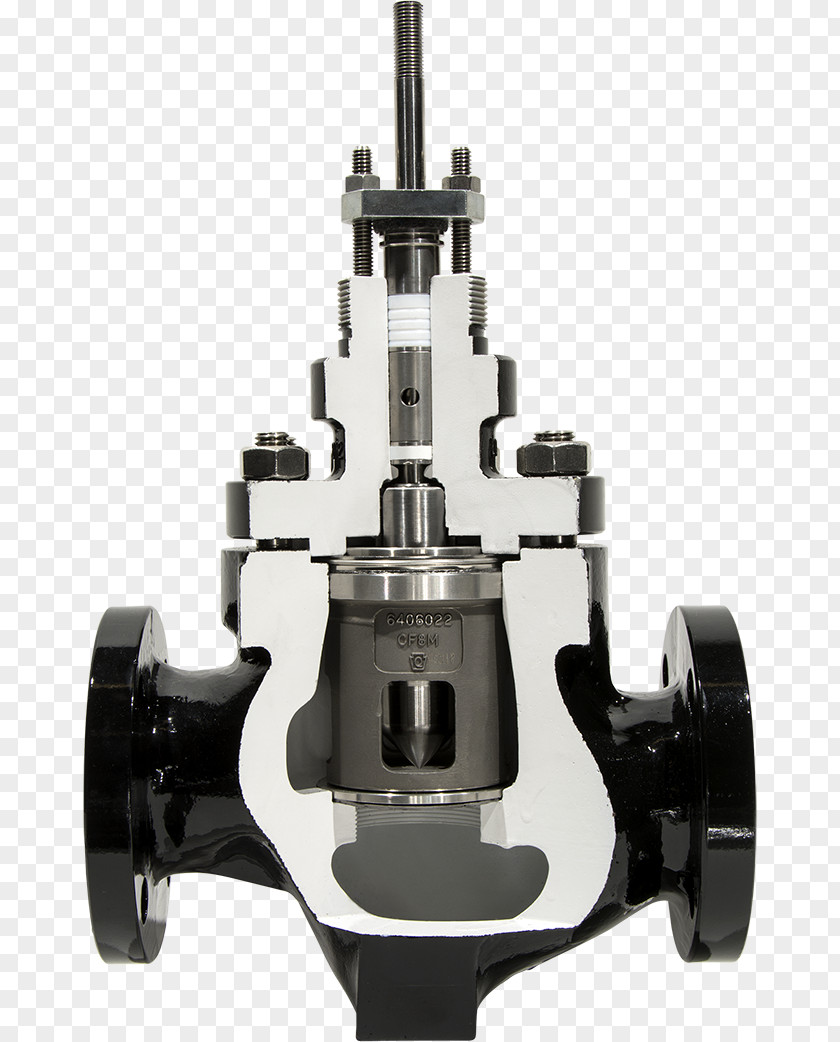 Koso Globe Valve Control Valves Slide Interchangeable Parts PNG