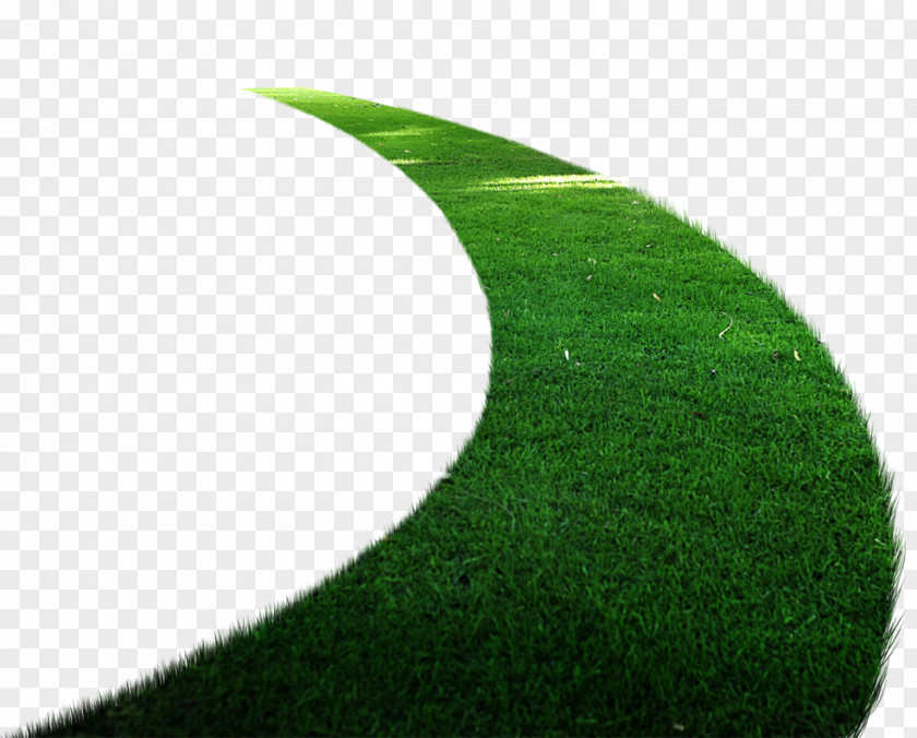 Lawn Road PNG