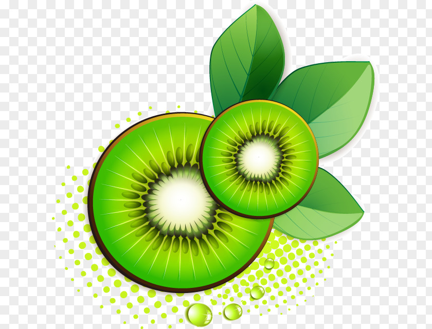 Painted Green Fresh Kiwi Image Photography Clip Art PNG