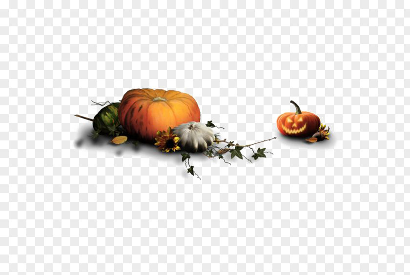 Pumpkin Lantern Halloween Costume Jack-o-lantern Boszorkxe1ny PNG