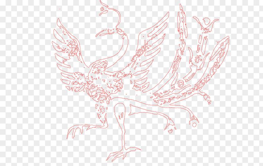 Red Phoenix Chicken Water Bird Text Beak PNG