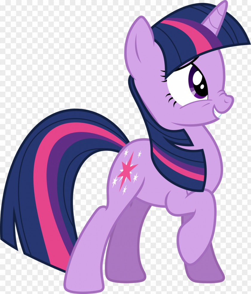 Twilight Sparkle Rarity Pinkie Pie Applejack Pony PNG