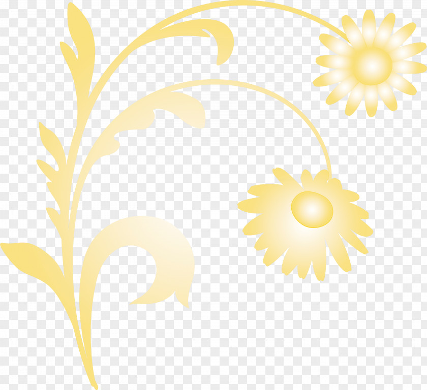 Flower Frame Decoration Floral PNG