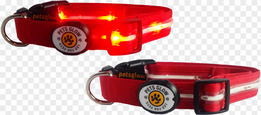 Red Collar Dog Car Clothing Accessories PNG