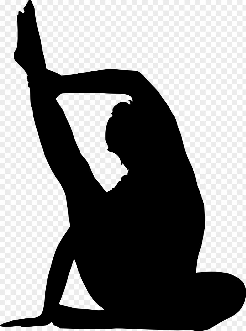 Silhouette Physical Fitness PNG