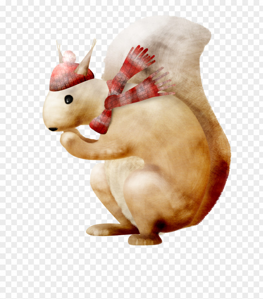 Squirrel Scarf Hat Drawing PNG