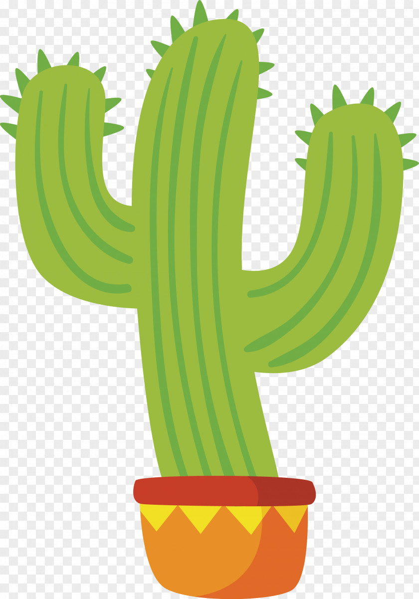 Vector Cartoon Cactus Mexican Cuisine Euclidean PNG