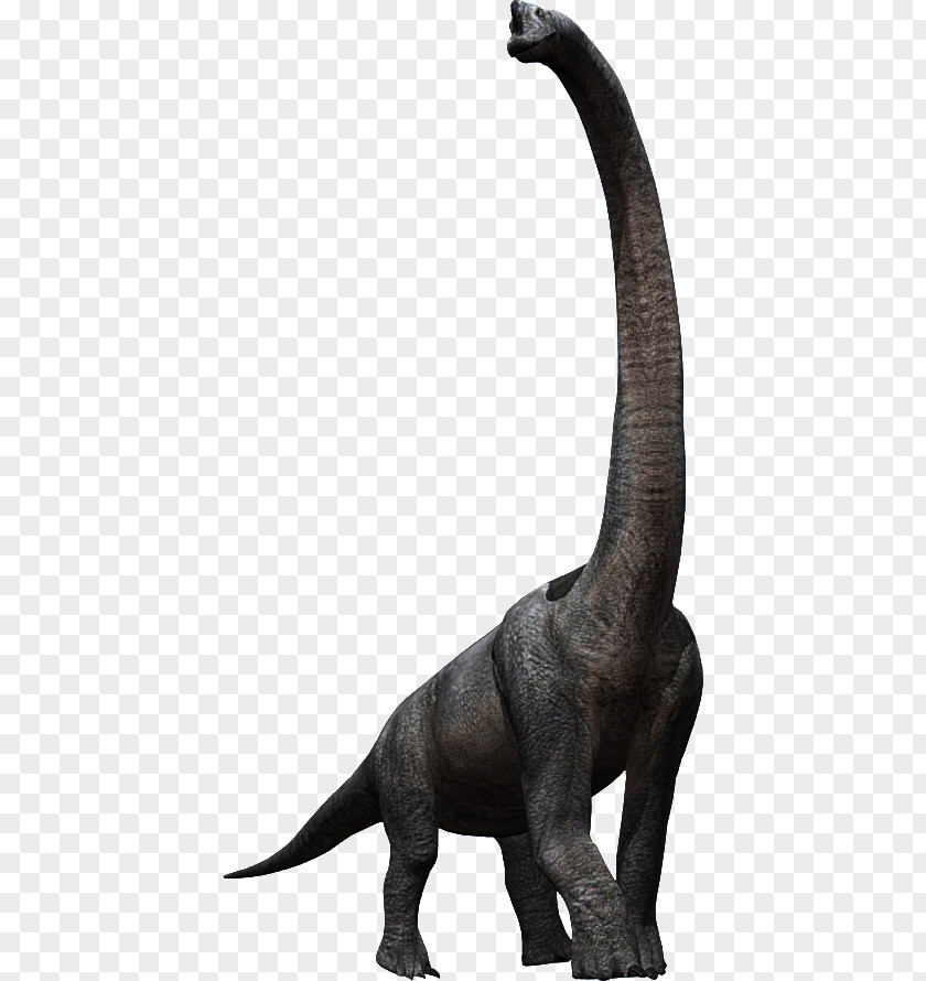 Brachiosaurus Tyrannosaurus Velociraptor Triceratops Jurassic Park PNG