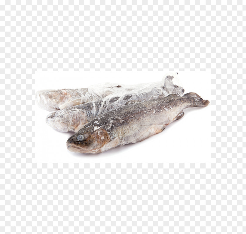 Fish Rainbow Trout Dried And Salted Cod Oily Salmon PNG