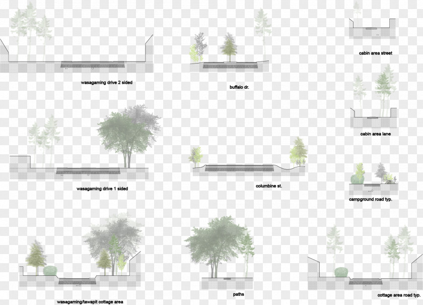 Floors Streets And Pavement Tree Brand Line Pattern PNG