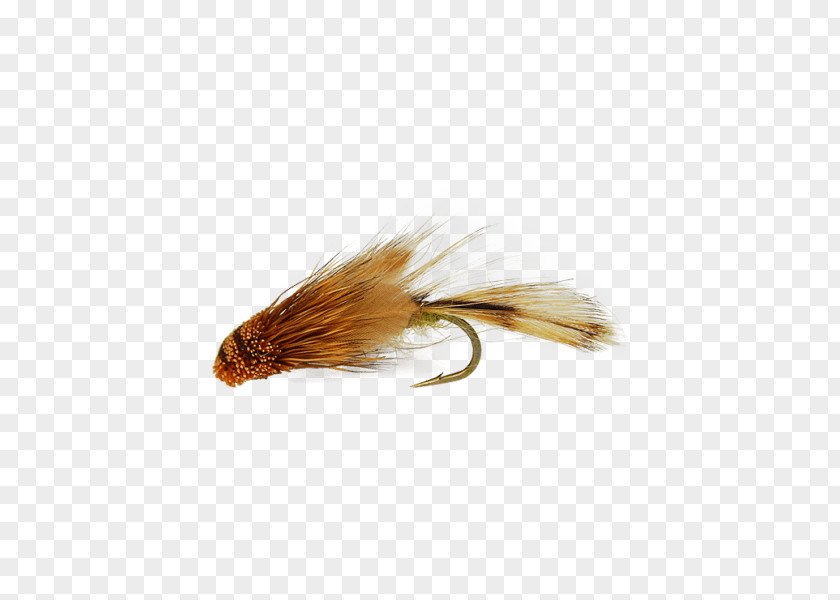 Fly Fishing Sculpins Rainbow Trout PNG