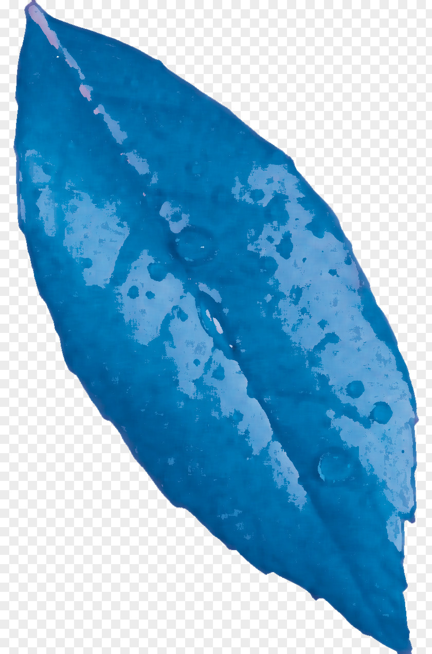 Leaf Flower Marine Mammal Turquoise PNG