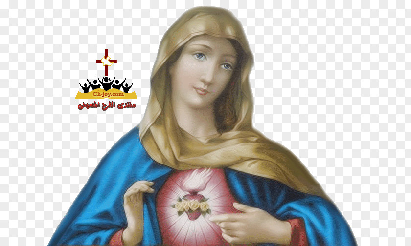 Mary Web Browser PNG