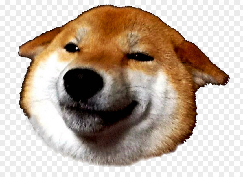 Shiba Inu Dogecoin PNG