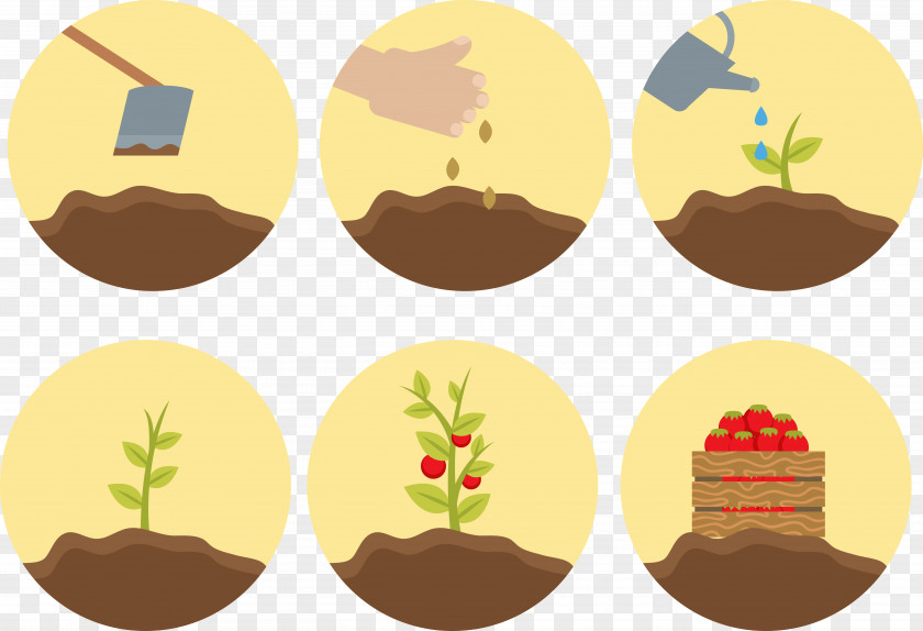 Vector Strawberry Cake Origin Butterfly Biological Life Cycle Plant Clip Art PNG