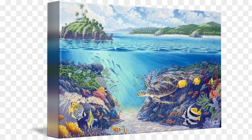 Watercolor Island Turtle Fiji Painting Resort Canvas Print PNG