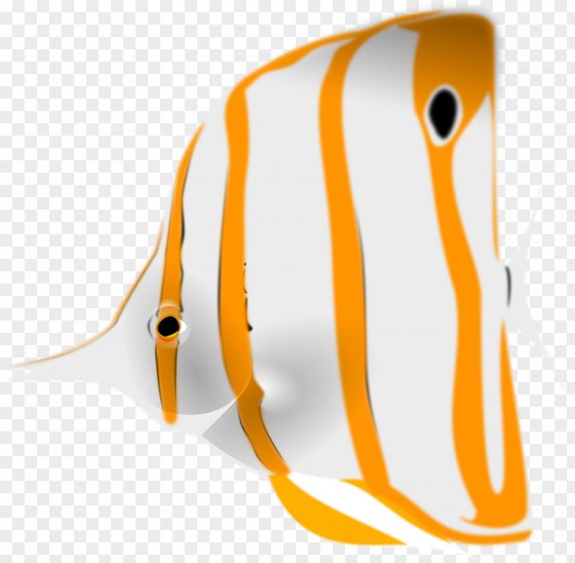 Flamingo Chaetodon Copperband Butterflyfish Clip Art PNG