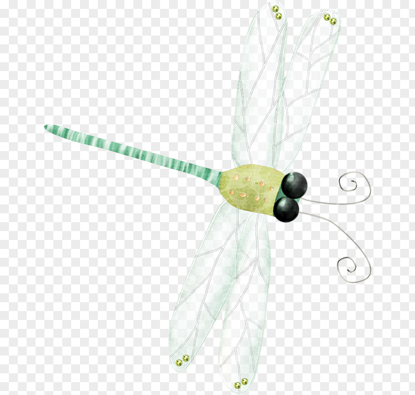 Hand-painted Dragonfly PNG